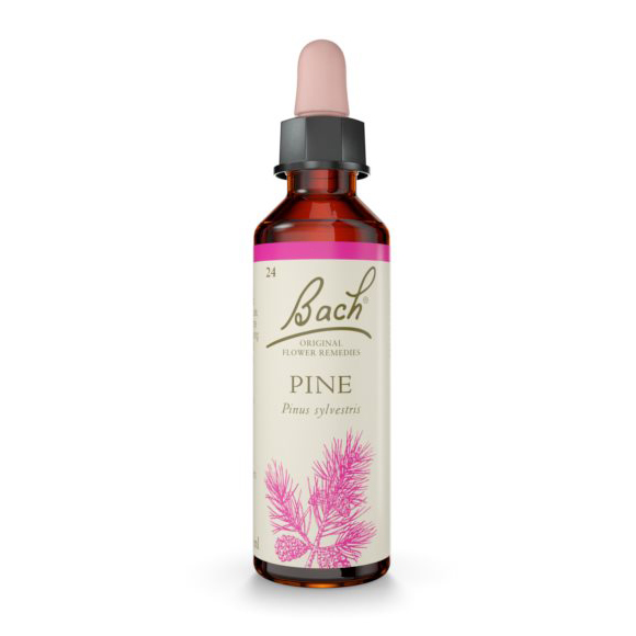 Bach Pine 20ml